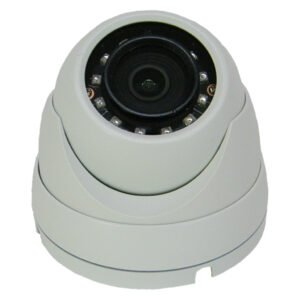 2MP 2.8mm H.265 PoE IP Eyeball Dome Security Camera
